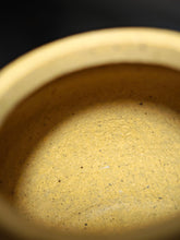 Load image into Gallery viewer, Fully Handmade Handpicked Lipini Pear by Chen Fusheng 全手工陈浮生梨皮绿泥梨形 100ml
