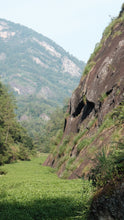 Load image into Gallery viewer, 2025 Xiaozhulin Rougui Wuyi Rock Oolong 50g
