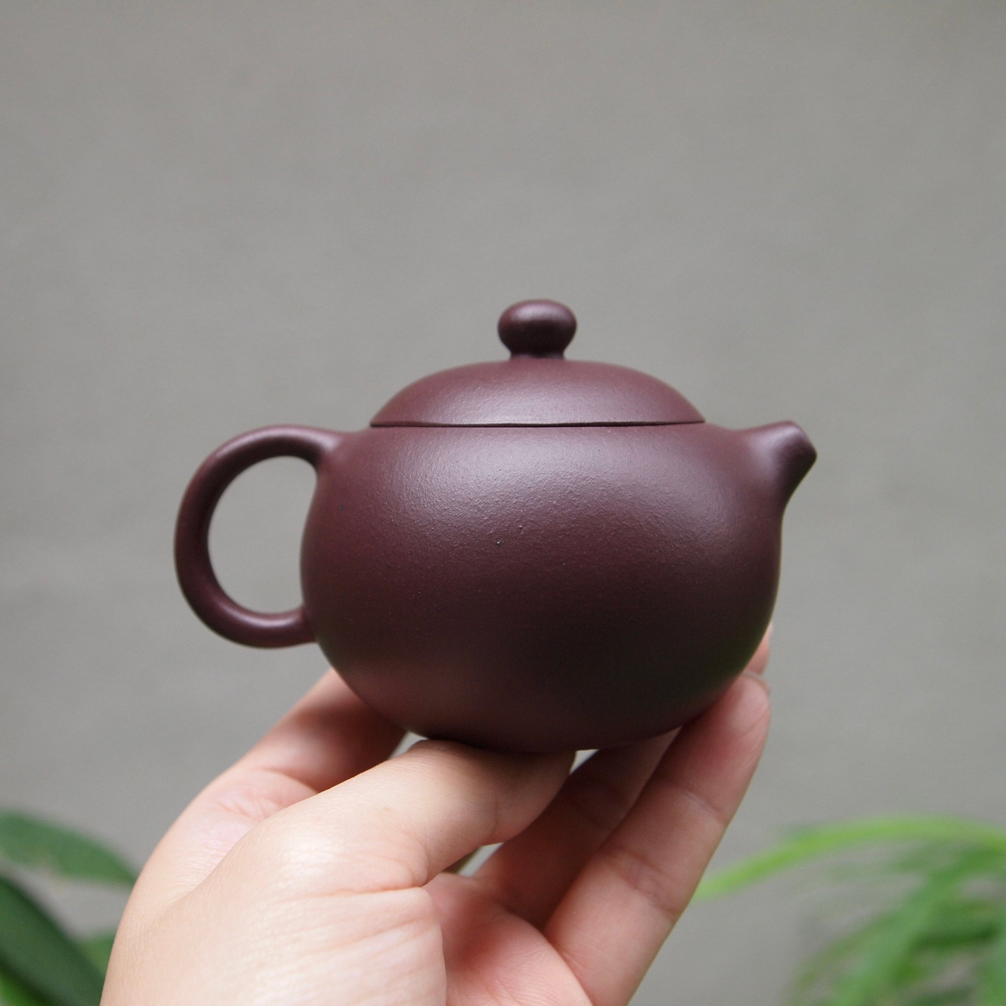 Lao Zini Xishi Yixing Teapot 老紫泥西施 125ml – MudandLeaves