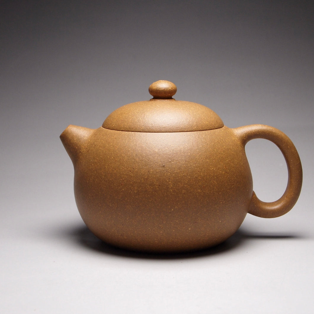 Huangjin Duan Xishi Yixing Teapot, 黄金段西施壶, 170ml