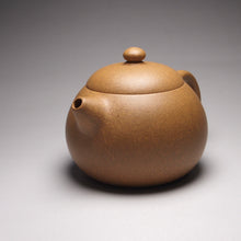 Load image into Gallery viewer, Huangjin Duan Xishi Yixing Teapot, 黄金段西施壶, 170ml
