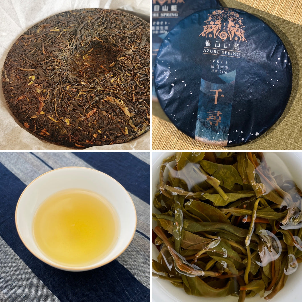 Wild and Transitional Ancient Pu'er Sample Pack from Azure Spring of Taiwan, 50g