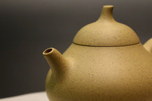 Load image into Gallery viewer, Benshan Lüni Melon Yixing Teapot 本山绿泥匏瓜 145ml
