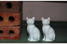 Load image into Gallery viewer, Yingqing Jingdezhen Porcelain Cat Tea Pet
