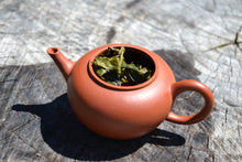 Load image into Gallery viewer, Zhuni Yuzhenzhiwan Yixing Teapot 朱泥玉珍之玩 125ml
