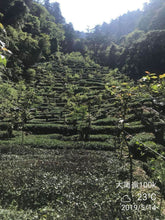 Load image into Gallery viewer, 100K DaYuLing High Mountain Oolong Tea, 100K 大禹岭高山茶, Winter 2021
