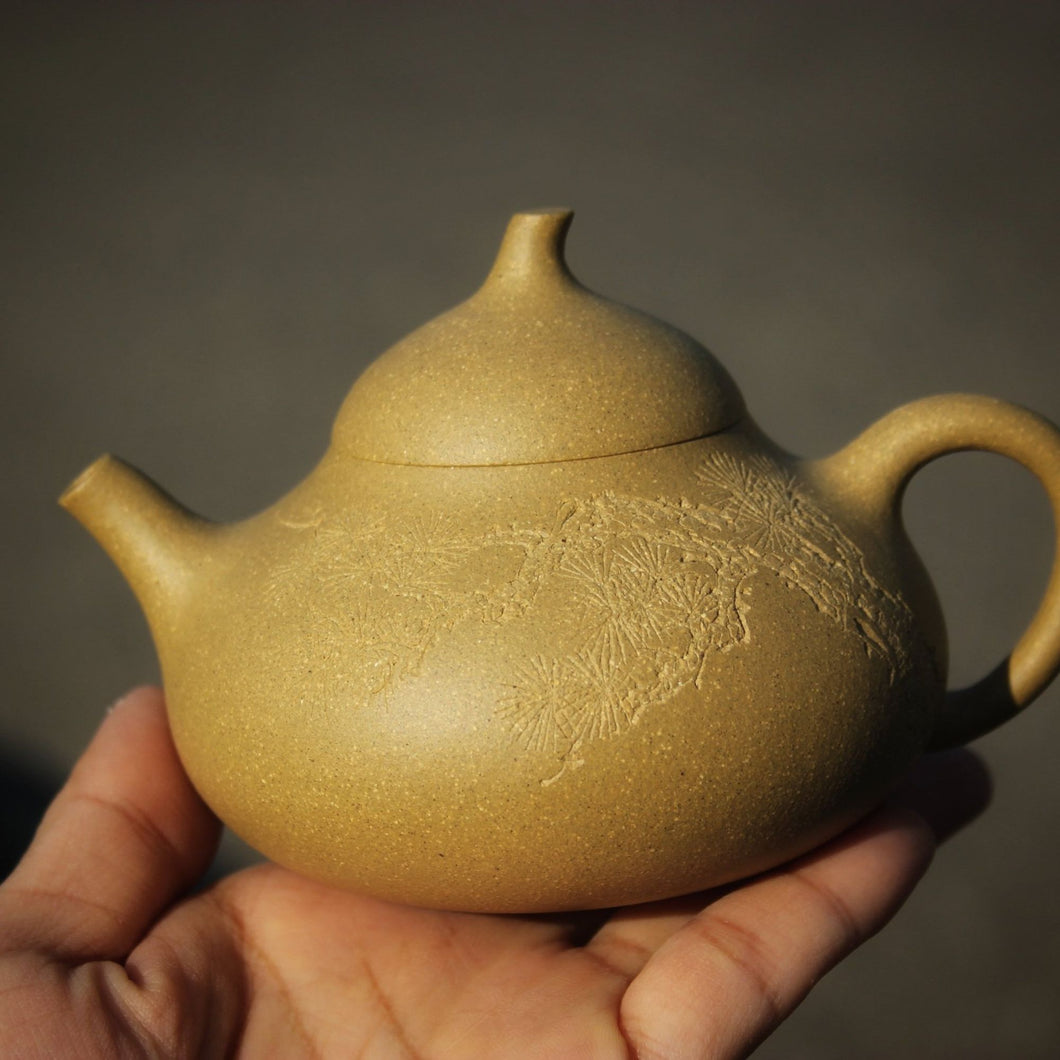 Benshan duanni 本山段泥 Melon Yixing Teapot with Pine Tree Carving 210ml