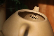 Load image into Gallery viewer, Benshan Lüni 本山绿泥 Shipiao Yixing Teapot, 230ml
