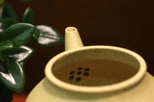 Load image into Gallery viewer, Benshan Lüni Bale Shuiping Yixing Teapot, 本山绿泥芭乐水平壶, 170ml
