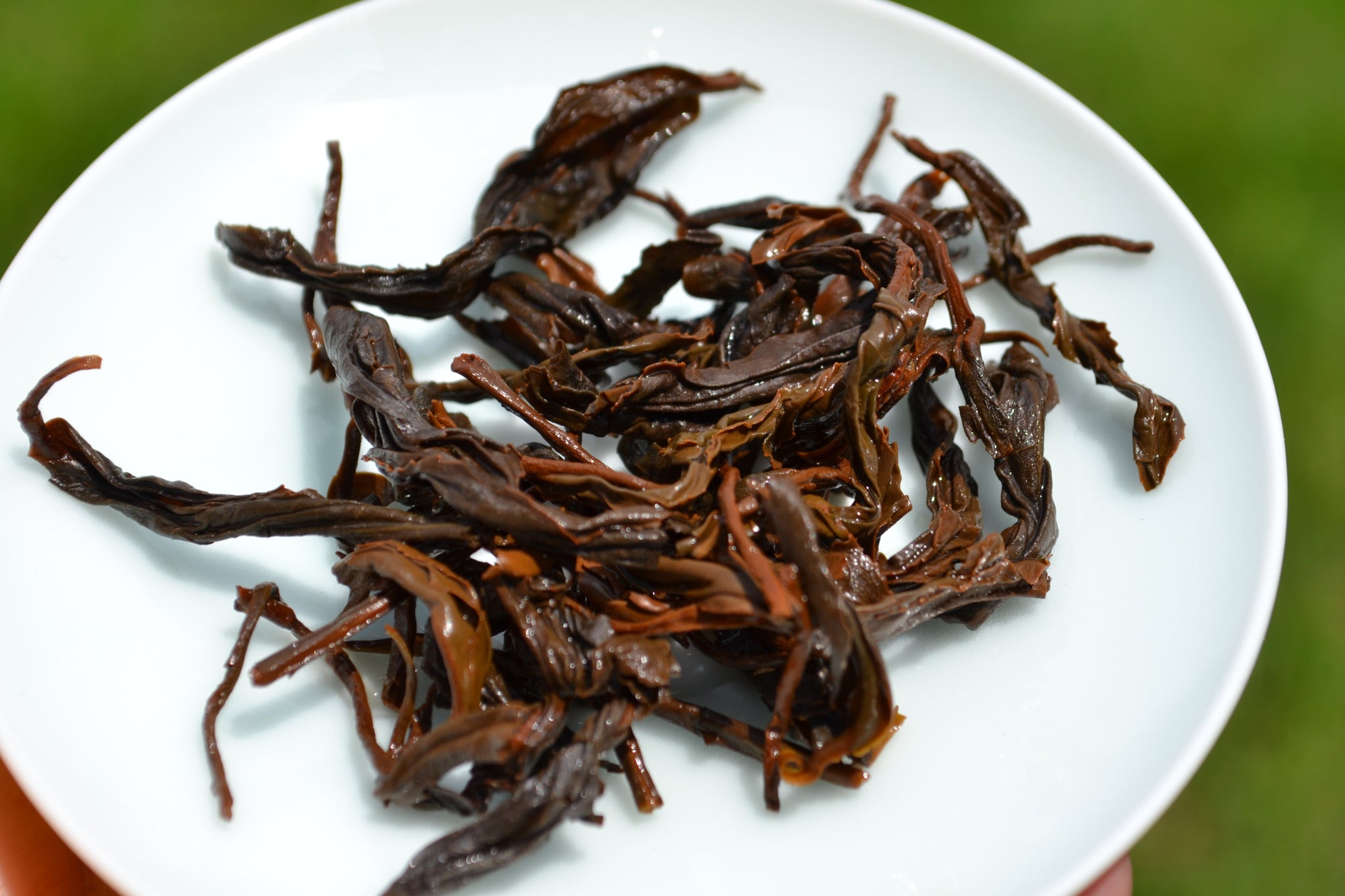 Taiwan RiYueTan Sun Moon Lake Black Tea 2026 – MudandLeaves
